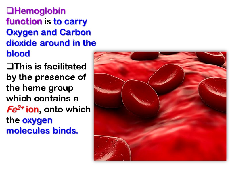 Hemoglobin function is to carry Oxygen and Carbon dioxide around in the blood 